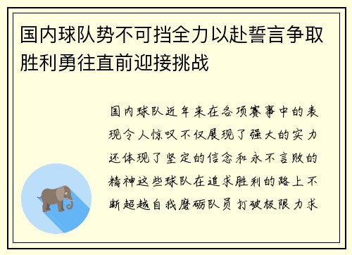 国内球队势不可挡全力以赴誓言争取胜利勇往直前迎接挑战