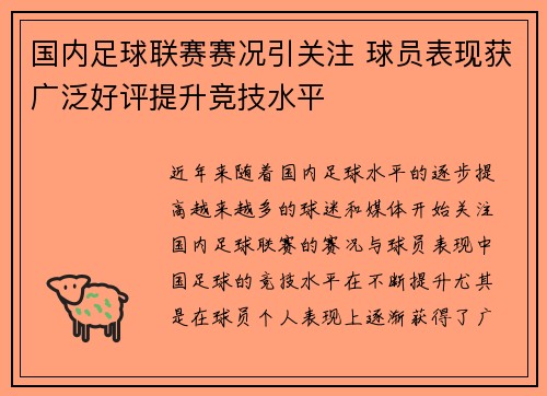 国内足球联赛赛况引关注 球员表现获广泛好评提升竞技水平